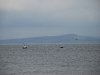 Barrow-in-Furness