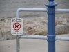 no dogs on the beach