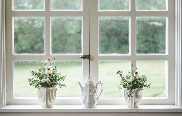 window with two plants